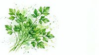 Fresh green parsley bunch in watercolor style with paint splashes, isolated on white background, ready for culinary design use.