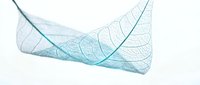 Translucent skeletal leaf veins in soft teal and blue tones arranged in flowing composition against white background, suitable for modern design projects.