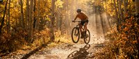 Male cyclist riding mountain bike through golden autumn forest with sunbeams filtering through colorful fall foliage on woodland trail for outdoor recreation.