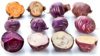 Fresh cut kohlrabi bulbs showing vibrant purple and orange flesh varieties arranged in rows on white background, displaying inner texture and natural patterns.