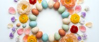 Colorful Easter eggs arranged in circle with spring flowers and petals on white background. Festive holiday decoration for seasonal celebrations and greeting cards.