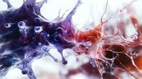 Abstract fluid art with dynamic swirls of deep blue and vibrant red creating dramatic contrast against white background, resembling cosmic nebula or underwater ink movement.