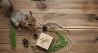 Squirrel with wrapped gift box, pine cones, and evergreen branches arranged on wooden surface for holiday and seasonal gift-giving themes.