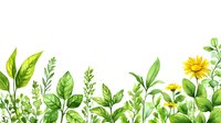 Watercolor botanical border with green leaves, herbs and yellow flowers on white background for spring design projects and natural decorations.
