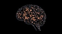 Digital brain silhouette with glowing orange connection points on circuit paths against black background illustrates artificial intelligence and neural networks.