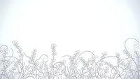Delicate floral border with hand-drawn wildflowers and ornate swirls on white background for wedding invitations, greeting cards and decorative designs.