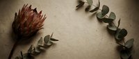 Dried protea flower with eucalyptus branches arranged on textured beige background for natural botanical decoration and craft projects.