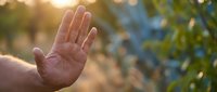 Adult hand raised in stop gesture against blurred natural outdoor background with golden sunlight, conveying rejection, warning, or refusal concept for communication and safety themes.