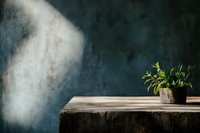 Small green plant in concrete pot on rustic wooden table against dark moody wall with dramatic sunbeam creating atmospheric lighting effect.