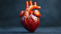 Anatomically accurate human heart model with detailed arteries and veins against dark background for medical education and healthcare visualization.