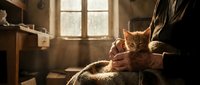 Ginger cat resting on burlap sack in rustic barn with sunlight streaming through window, conveying warmth and countryside charm for editorial and lifestyle projects.