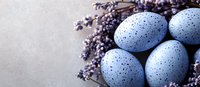 Speckled blue Easter eggs decorated with natural dye nestled among fresh lavender sprigs on neutral background, creating seasonal spring composition.