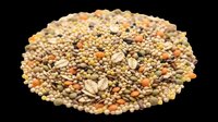 Mixed legume and grain blend isolated on transparent background, ready for culinary design, packaging, print-on-demand products, educational materials, and digital food illustrations.
