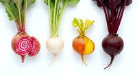 Four colorful beet varieties with green tops arranged in a row on white background, showcasing chioggia, white, golden, and red beets.