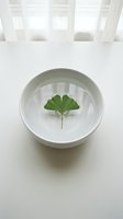 Single ginkgo leaf floating in white ceramic bowl with water on clean white surface for spa wellness and natural medicine concepts.