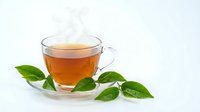 Glass cup of hot herbal tea with fresh green leaves on white background, isolated for healthy beverage and wellness design projects.