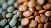 Green and brown lentils in macro view showing natural texture and pattern of dried legumes, healthy plant protein source for vegetarian cuisine.