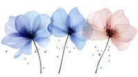 Delicate translucent flowers in blue and pink watercolor style with scattered dots on white background for spring design projects.