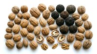Assorted walnuts collection showing whole nuts in shells, cracked pieces, and kernels arranged on white background for healthy snacking and cooking concepts.