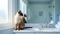 Siamese cat sitting on marble bathroom counter near window grooming paw in bright modern spa-like interior with natural light for home decor concepts.