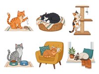 Ginger cat playing with toy on mat, black and white cat sleeping in wicker basket, tabby cat on wooden tree, gray striped cat eating from bowls, orange cat relaxing on yellow armchair, white cat napping near potted plant. Isolated clipart set ready for design use on t-shirts, stickers, and web graphics.