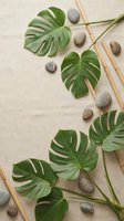 Tropical monstera leaves with bamboo sticks and smooth stones arranged on neutral beige background for spa wellness and natural home decor concepts.