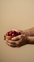 Male hands holding wooden bowl filled with fresh red cherries against neutral beige background. Suitable for food, agriculture, harvest, and wellness marketing materials.