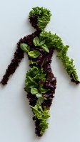 Female silhouette artfully composed of fresh green and purple lettuce leaves, basil, and kale on white background, representing healthy eating and wellness lifestyle.