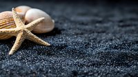 Starfish and seashells on black volcanic sand beach with copy space. Minimalist marine composition in dark moody tones creates tranquil spa atmosphere.