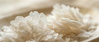 Shredded white coconut flakes on ceramic plate, close-up food photography for culinary and baking projects.