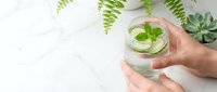 Fresh mint tea in glass cup held by female hands with green plants and succulents on white marble background for wellness and herbal beverage concepts.