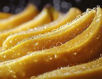 Fresh yellow pasta strands with water droplets in macro photography, showing texture and curves of traditional Italian cuisine against dark background.