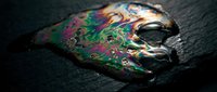Colorful iridescent oil spill creates rainbow reflections on dark wet asphalt surface with vibrant prismatic colors and fluid organic patterns.