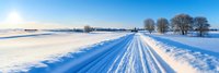 Winter landscape with snow-covered road leading through snowy fields under bright blue sky with bare trees lining the path for seasonal travel concepts.