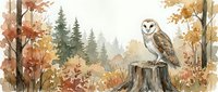 Barn owl perched on tree stump in autumn forest with colorful foliage and evergreen trees in misty woodland setting for nature wildlife designs.