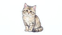 Adorable tabby kitten with striped coat and alert expression sitting isolated on white background, ready for design projects.