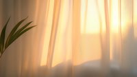 Soft morning sunlight streaming through sheer curtains creates gentle shadows on wall, with palm leaf silhouette adding natural element. Peaceful home interior scene.