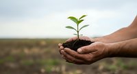Farmer holding young seedling with soil in cupped hands against agricultural field background, symbolizing growth, sustainability, and environmental care for farming and gardening concepts.