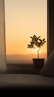 Silhouette of potted plant on windowsill against golden sunset sky, creating peaceful atmosphere with warm light filtering through leaves. Minimalist home decor scene.