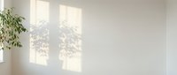 Bright sunlight streams through large windows casting natural shadows on a clean white wall with potted green plant in corner.