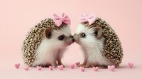 Two adorable hedgehogs with pink bows touching noses surrounded by small heart decorations on pink background, romantic valentines concept for greeting cards.
