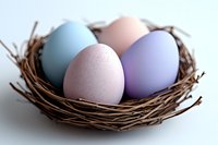Colorful pastel Easter eggs in natural wicker nest on white background. Spring holiday decoration with blue, pink, purple painted eggs for celebration design.