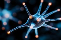 Glowing neuron cell with synaptic connections on dark background, illuminated dendrites and axons showing neural network activity in blue tones. Medical science concept.