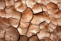 Cracked dry clay soil texture in brown tones showing deep fissures and natural pattern formation, abstract background for environmental concepts.