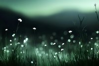 Dreamy meadow silhouette with white wildflowers against dark turquoise sky, mysterious bokeh lights creating magical nature atmosphere at dusk.
