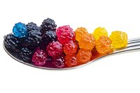Colorful rainbow of fresh wild berries arranged on silver spoon against white background, from dark blue to bright yellow, showing natural gradient progression.