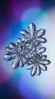 Macro shot of crystal snowflakes with iridescent blue and purple hues on a soft bokeh background, showcasing intricate ice formations in winter.