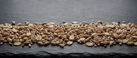 Roasted peanuts arranged in a neat row on dark slate surface, showcasing texture and detail for food photography, culinary content, and nutritional product marketing.