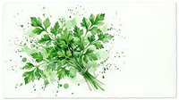 Fresh green parsley bunch painted in watercolor style with splashes, isolated on white background, ready for culinary design use.