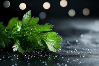 Fresh green parsley leaves with water drops on dark background, bokeh lights creating magical atmosphere. Food photography for culinary blogs and recipes.